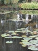 Jan Boybol - Monet's Garden - Giverny